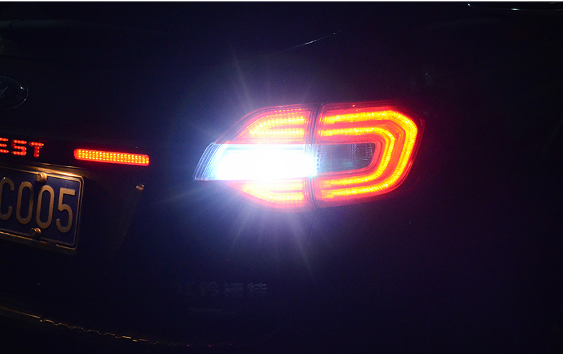 Trợ sáng đèn sau cho Everest (2016-2019)