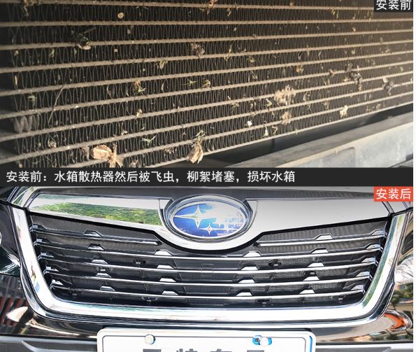 Lưới chắn côn trùng Subaru Forester 19-20