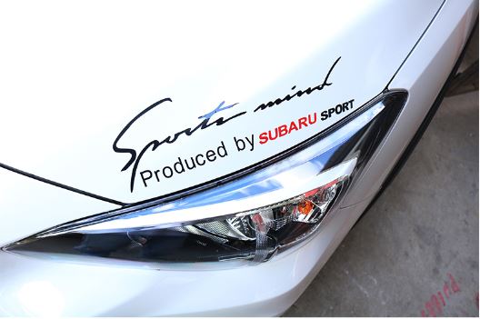 Decal dán đầu xe Subaru Forester 19 - 20